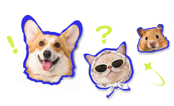 Pets