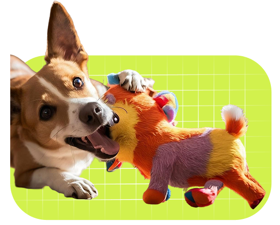 Pet Furry Favorites