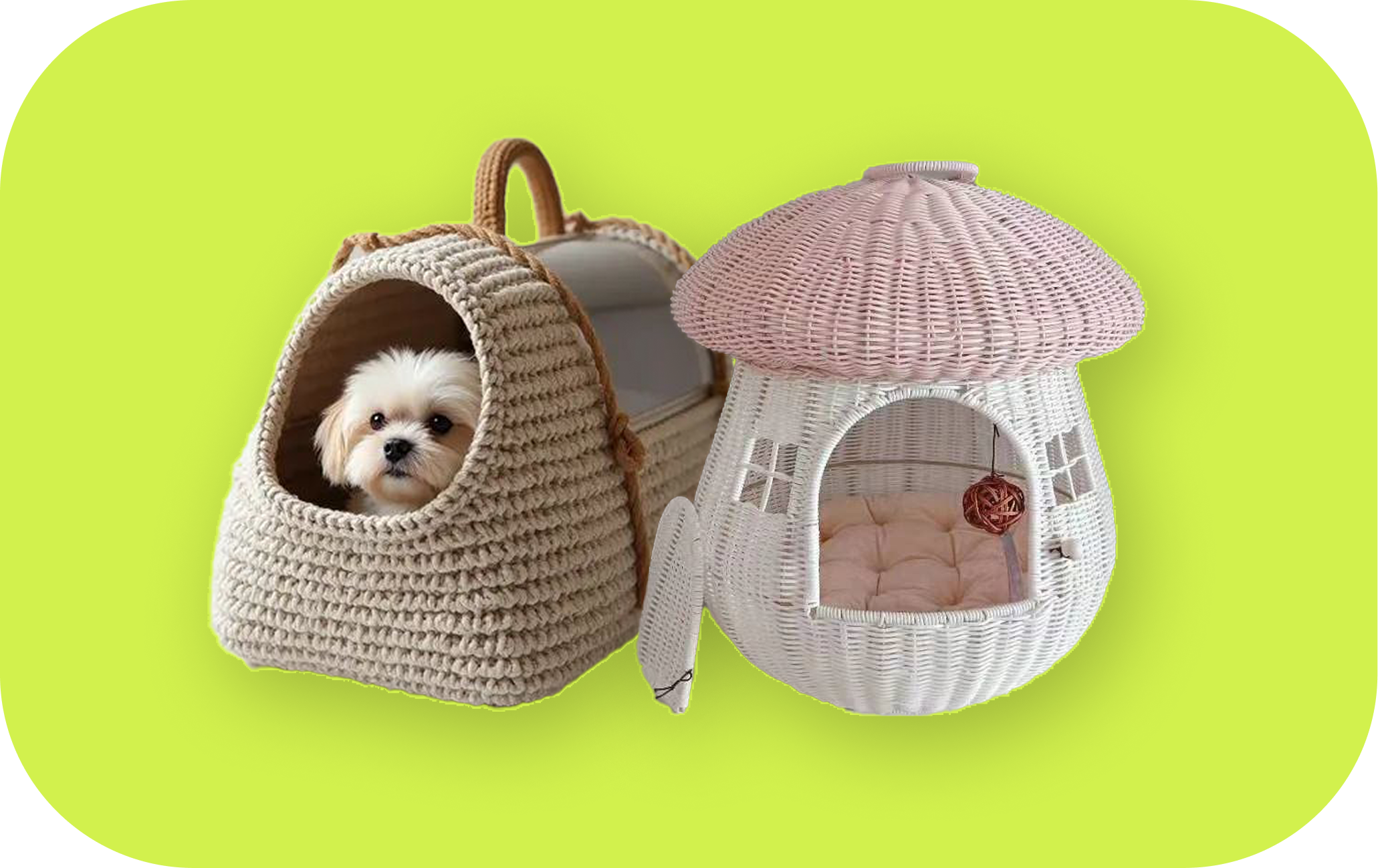 Pet Care