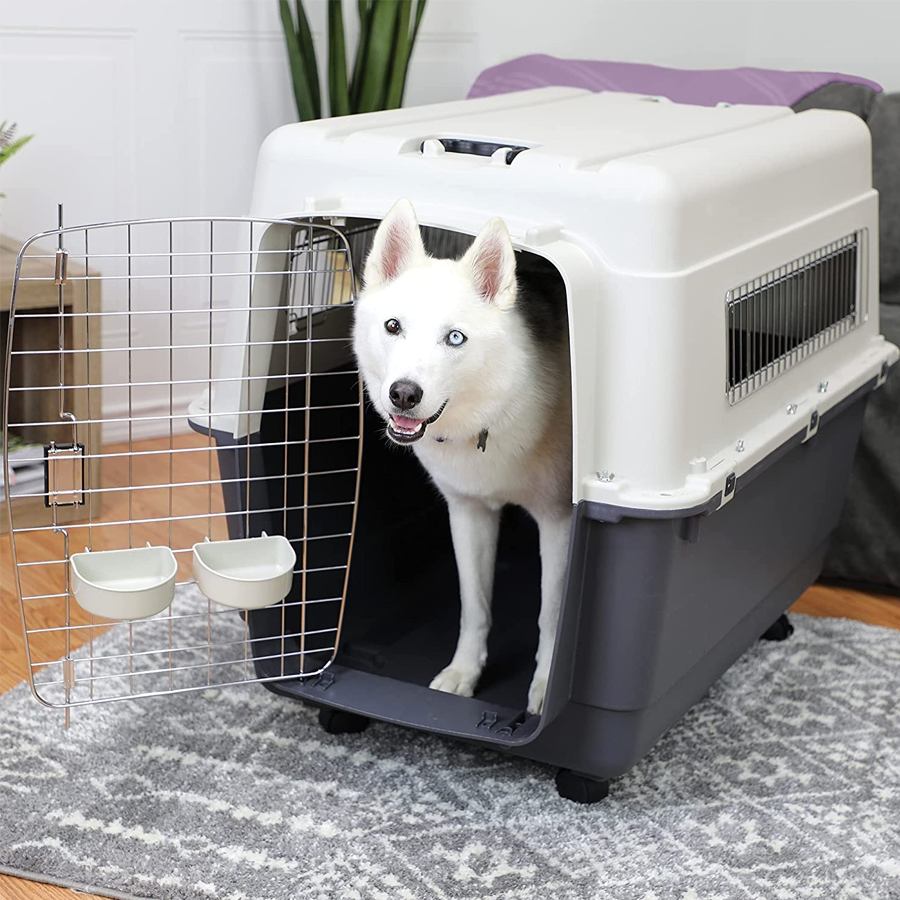 Heavy Duty Plastic Pet Flight Cage