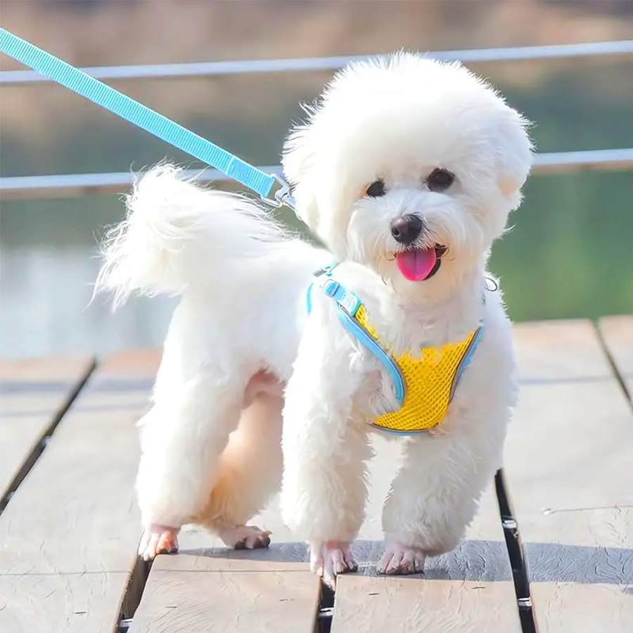 Soft Mesh Puppy Vest Harness Leash
