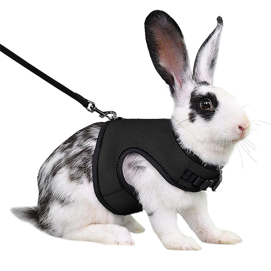 Escape Proof Rabbit Harness Leash Set