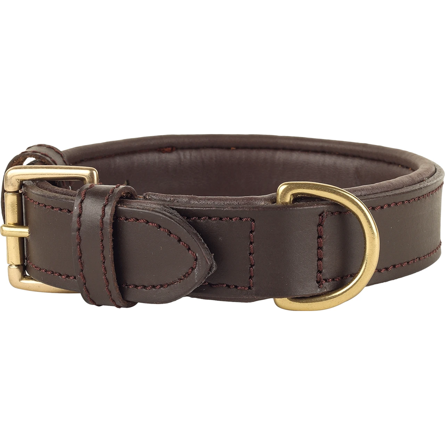 Padded Leather Comfort Pet Collar